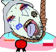 award discord sarmatian transgender troonjak // 763x716 // 102KB