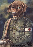 brown_fur male meta:2012 military species:canine species:dog species:domestic species:mammal // 500x700 // 152KB