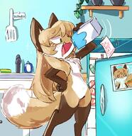 artist:fiddleafox brown_fur character:averi_(fiddleafox) dipstick_tail drinking ears female gloves_(marking) milk socks_(marking) species:canine species:fox species:mammal tail white_fur // 1071x1103 // 169KB