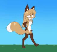 artist:fiddleafox brown_fur character:averi_(fiddleafox) dipstick_tail ears female gloves_(marking) meta:animation meta:gif socks_(marking) species:canine species:fox species:mammal tail walking white_fur // 560x514 // 767KB