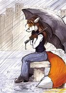 bench brown_hair city ears female jeans long_hair meta:2002 orange_fur outside rain sad shirt shoes sitting species:canine species:fox species:mammal tail umbrella // 362x512 // 52KB