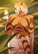 artist:aspirindabaitu back_view big_deltoids big_latissimus_dorsi character:waaifu_(arknights) copyright:arknights copyright:hypergryph copyright:studio_montagne dress female muscular orange_eyes orange_fur short_hair solo species:bird species:feline species:mammal species:tiger striped_fur tail white_dress // 2480x3507 // 404KB