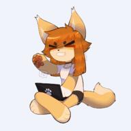 artist:biankers brown_hair computer ears eyes female hair laptop long_hair meta:animation meta:gif paws simple_background solo species:canine species:fox species:mammal tail typing xd // 1280x1280 // 1.6MB